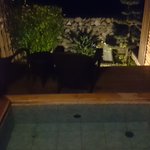 温泉人のツイート画像