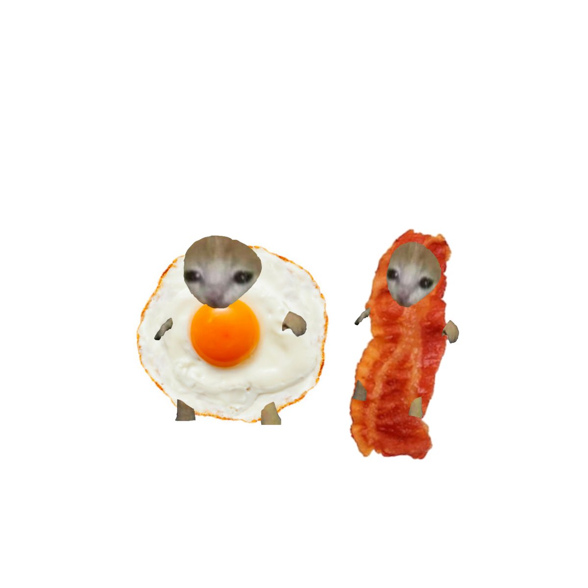 cattoeverywhere's tweet photo. Brekifast-Cattos https://t.co/QGJj0JgwGZ