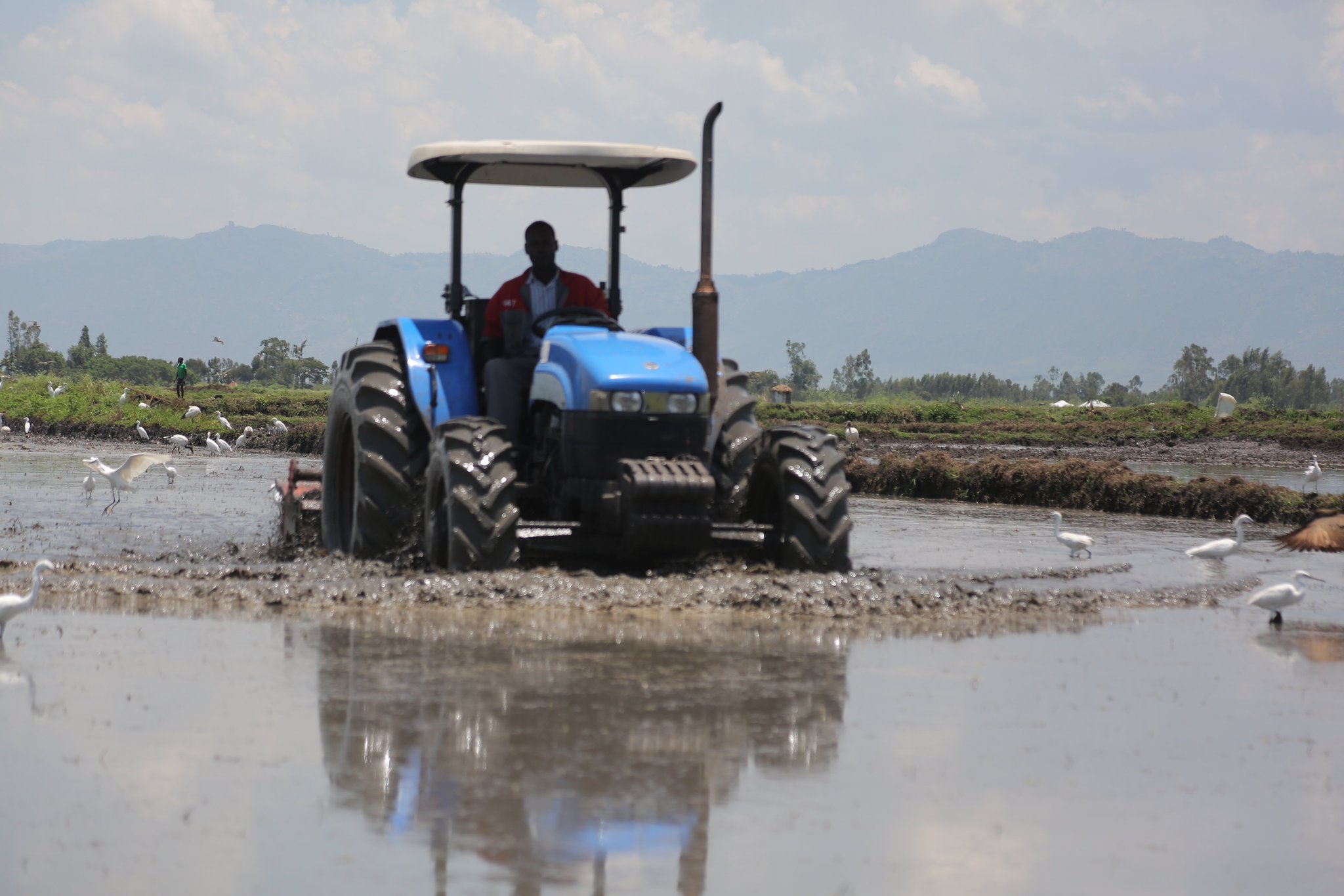 National Irrigation Authority on Twitter "Land preparation in Mwea