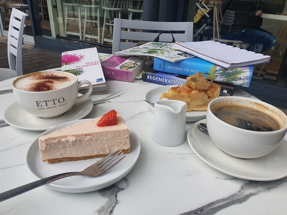 SharonEnv1's tweet photo. Essential #pollinatorparks #rewilding #bookwilding planning meeting today @Dalton_Park with @ClimateActionNE and @wildcraftnation - brilliant cakes and coffee too, thanks Etto cafe. πππΏπ¦πΊβπ° #ThoughtfulThursday #biodiversity #climateactionnorth #helpingnature #globalwilders https://t.co/kjzE7GklYT