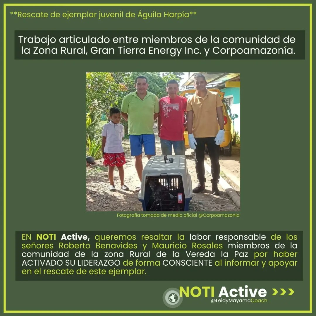 CoachLeidy's tweet photo. 📢*Noti Active*
El mensaje de auxilio de la naturaleza! 
"Aquí estoy yo, es mi hábitat, necesito mi conservación y protección"
#ActiveSuLiderazgo #NotiActive #ÁguilaHarpía #RescateÁguilaHarpía #ÁguilaHarpíaPutumayo  #Conservación #Putumayo #Colombia @CoachLeidy #CicloSiete https://t.co/nCZ9p0djVC