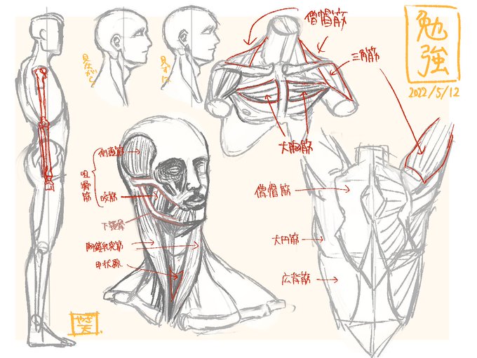お勉強 