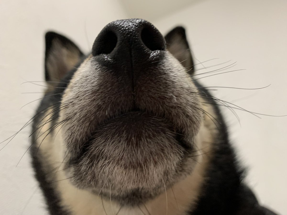 HelpTomo's tweet photo. the first thing i open my eyes to every morning. https://t.co/BVlrolkpqw