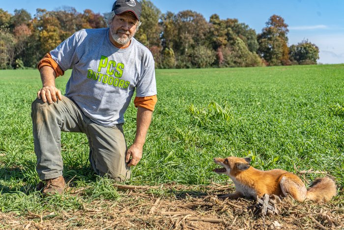 SPORTSMANchnl's tweet photo. Bryan traps in his home state of Pennsylvania for red fox. Learn early season techniques and how to prepare for the season.

Fur Life TV  /  SATURDAY AT 10:30 AM ET. 

#IAMSPORTSMAN #hunting #trapping #foxes #fox #redfox #predator #foxtrapping #predatortrapping https://t.co/STxMs0zpdZ