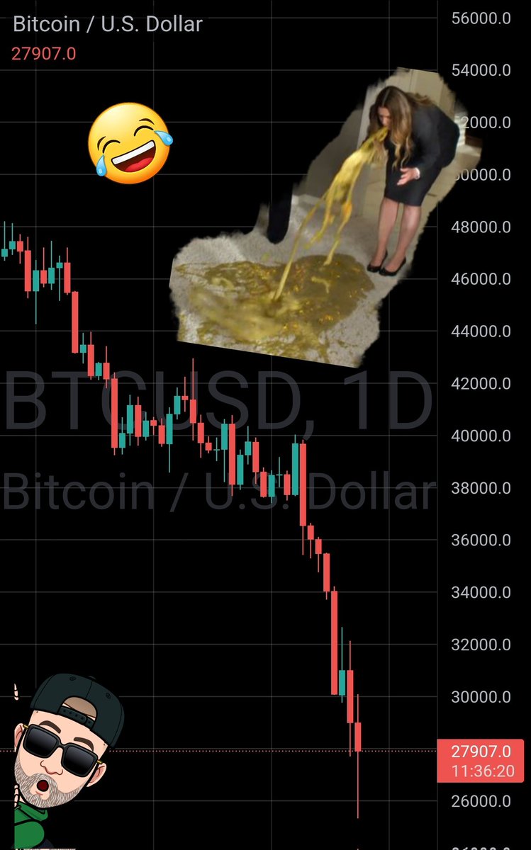 MetadisMetadat's tweet photo. Ugh! #BTCUSD done pooped itself https://t.co/4jEe6c1Duh