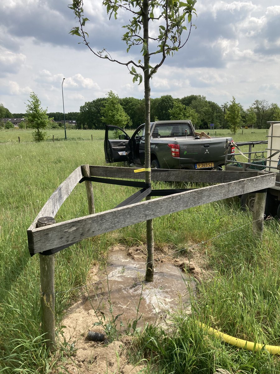 boswachterwilly's tweet photo. #dorstig weer☀️☀️ ook voor de #natuur @Brab_Landschap https://t.co/oHTgpfQFRV