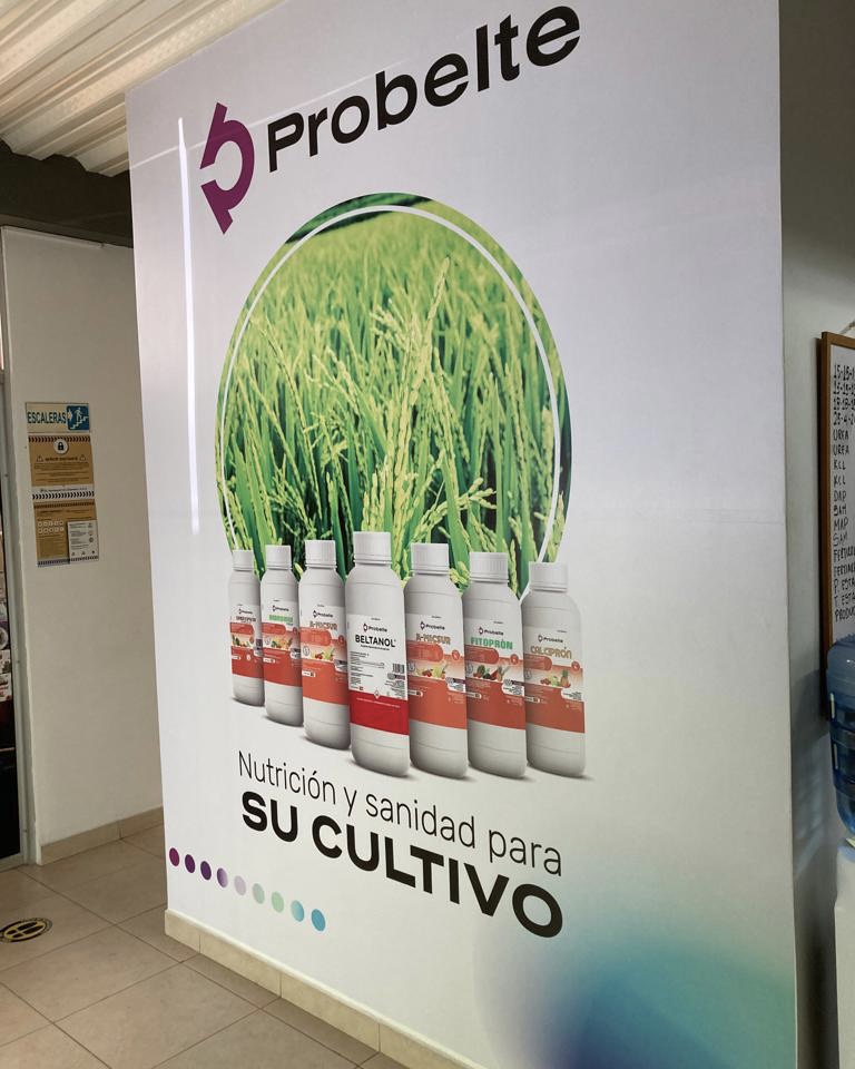 Probelte tweet media