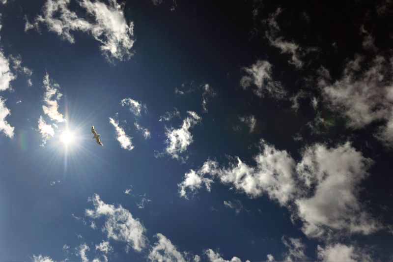 Siemens_BeLux's tweet image. La proposition de la @EU_Commission pour la mise à jour du règlement sur les gaz à effet de serre fluorés soutient notre vision #ClimateActionNow

Les armoires de distribution #moyennetension fiables n&apos;ont pas besoin de gaz fluorés. #BlueGIS 

👉 sie.ag/3szavhR