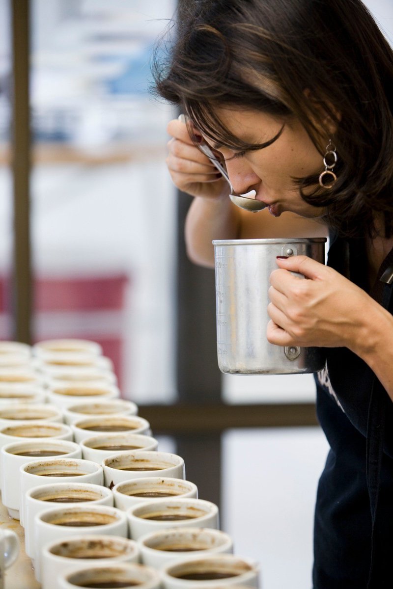 EFICOCOFFEE's tweet photo. Where does the taste of coffee come from? 👀🔍

The taste of a cup of coffee that we all love and cherish has a very complex origin, as it is influenced by many different parameters.
🌱☕️

Read all about it in our blog: https://t.co/krJ1coBSa2

#coffeecommunity #tasteofcoffee https://t.co/EUIsMDU61e