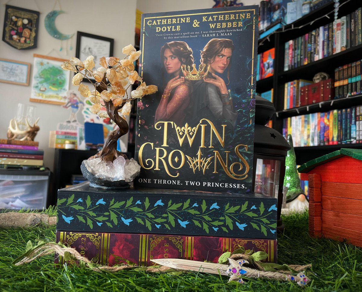 The best YA book I’ve read in a year, #TwinCrowns is reminiscent of the iconic YA books that people still talk about today, but with clever writing and a powerful message of female empowerment, Twin Crowns has transcended what came before to mark a new era of YA fantasy 👑