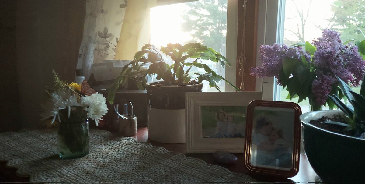 Lisa Marsh tweet media