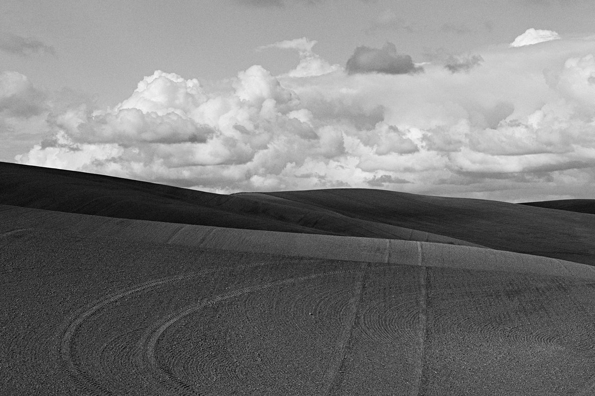 Sign up to join our next webinar on editing with Exposure. This lesson will dive deep into converting color shots into powerful black and white photos. The webinar will take place at 1PM EST on Thursday, May 12th. bit.ly/3wqGPVe

Images by <a href="/jhbarclay/">jhbarclay</a>