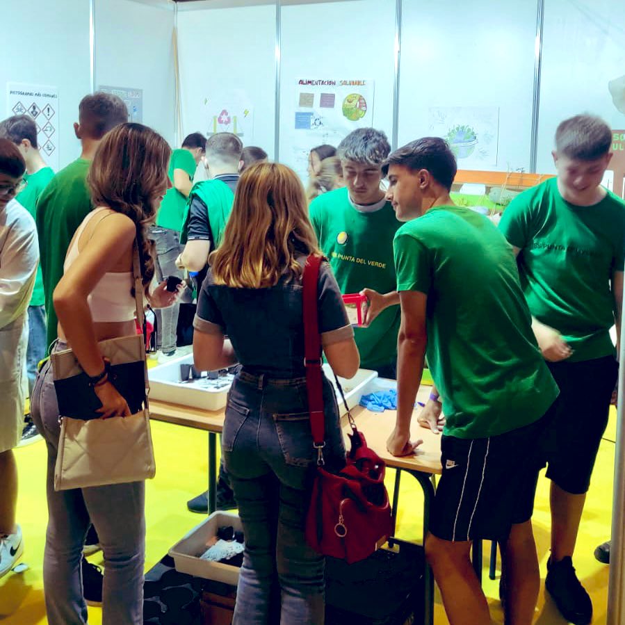 IES Punta del Verde (Sevilla) tweet media