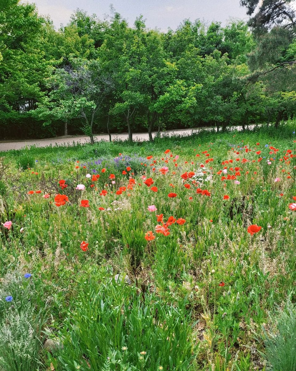 arkivesrm's tweet image. Too busy working on my own garden to notice if yours is greener.