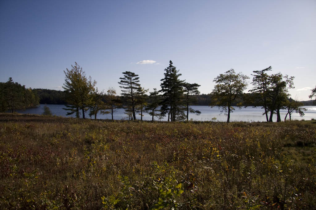 Nova Scotia Museum on Twitter "Standing on the impressive portico, one