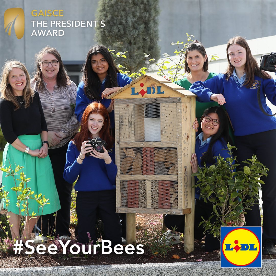 GaisceAward's tweet photo. We’re delighted to continue our bee-itiful ongoing partnership with @lidl_ireland to promote biodiversity nationwide! 🌱
Last year communities planted over 1/2 a million pollinator bulbs for #BulbsForBees - now we want to SEE your bees! 🐝
Competition is running until May 27th https://t.co/zYhNkkhpOC