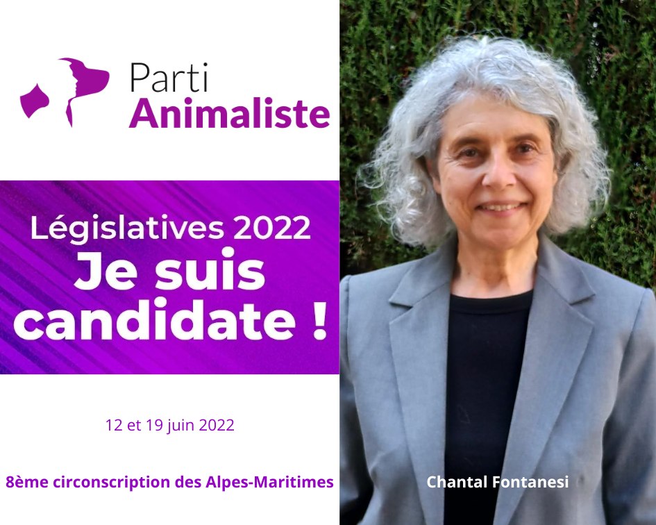 ChantalFontane1's tweet photo. Candidate #Législatives2022 pour le Parti Animaliste dans la 8ème circonscription des Alpes-Maritimes  #Cannes #Mandelieu #Théoule #Vallauris #Antibes
 #PartiAnimaliste #alpesmaritimes https://t.co/qf2l28UZKk
