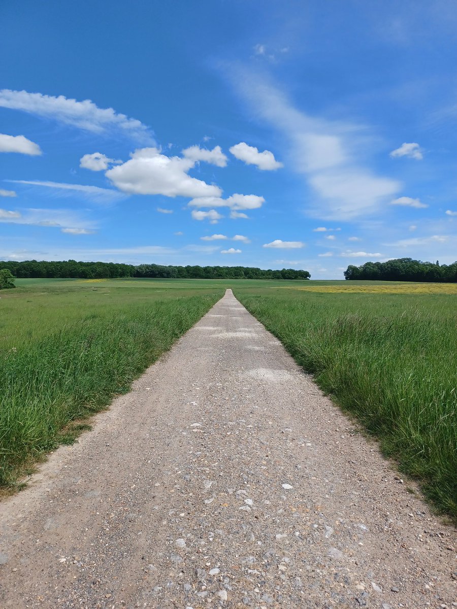 A little walk in the countryside to get some fresh air between two sessions of writing my thesis. #Writing #phdlife  #Countryside