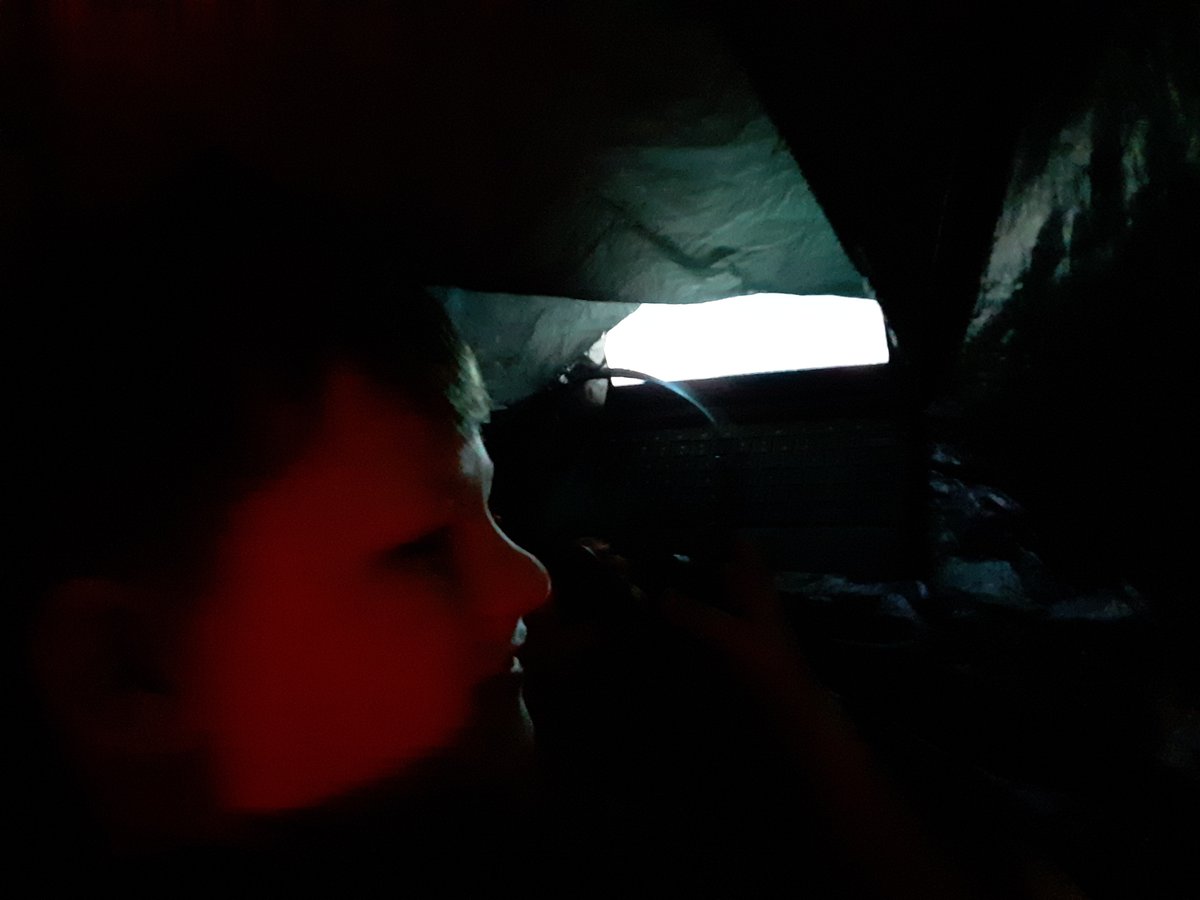 PointNavy's tweet photo. 2nd grade explored different ecosystems by making make-shift VR tents and using 360 degree videos.
#ECSDFL https://t.co/JloNyxp4HH