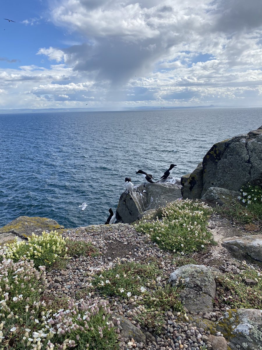 hann_bowey's tweet photo. A bumpy crossing, but well worth it for these views 🌊 https://t.co/3KXjsBFNKE