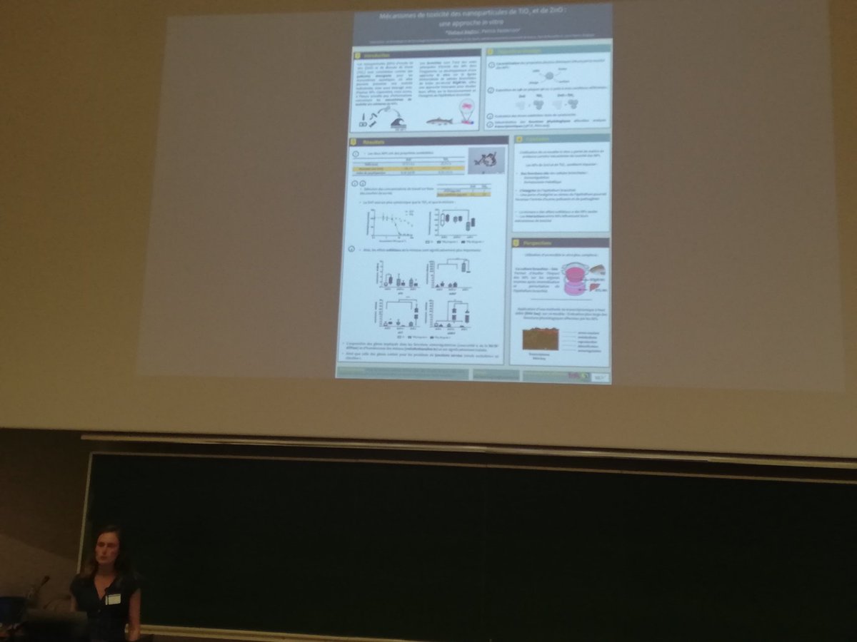 EcoBIM 2022 tweet media