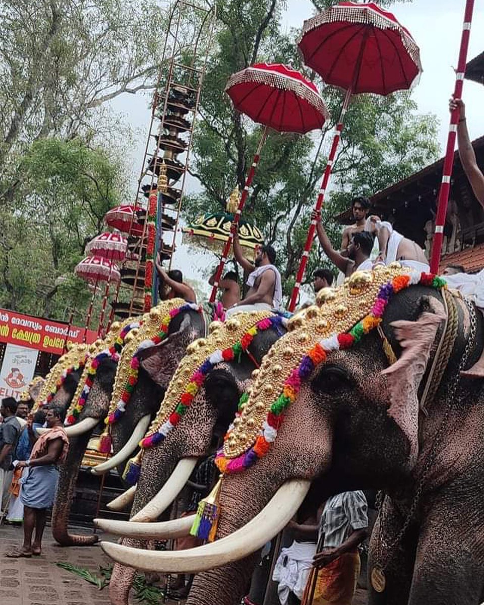 PhilmCGI's tweet photo. Some amazing shots taken by our team at the celebration of Pooram, the annual festival of Thrissur! ✨
.
.
.
#philmcgi #thrissur #pooram #thrissurpooram #kerala #celebration #festivalsofindia #indianfestival #animationstudio #vfxstudio https://t.co/y7iT1iJTNd