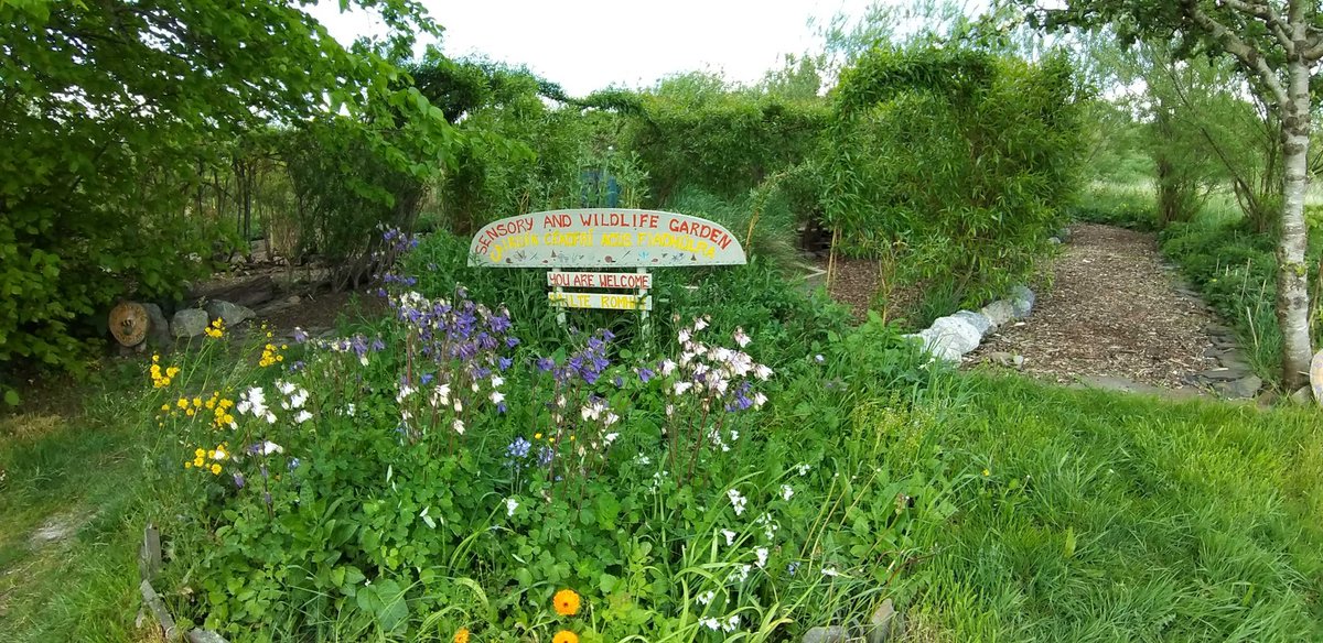 Rethink Ireland tweet media