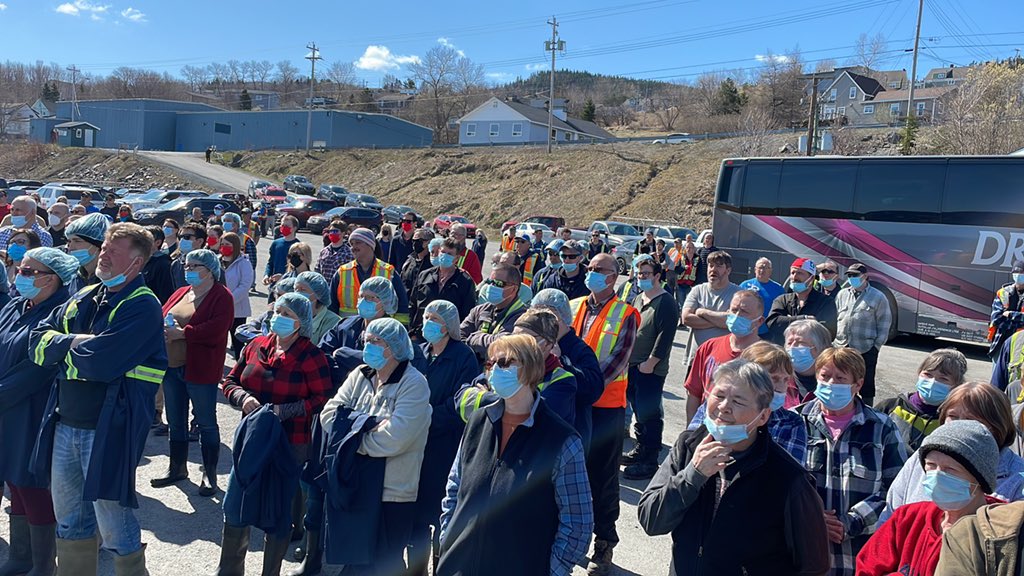 A big crowd at Barry’s fish plant in #cornerbrook for the Atlantic Seal Science Task Team Report reaction. #cbcnl