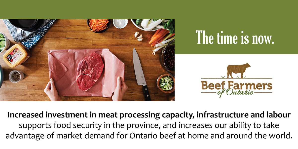 BeefFarmersON's tweet photo. Many processing plants are operating above capacity due to increased demand and production. Further investment in programs supporting processing capacity, and training and recruitment of meat cutters and butchers is needed. Speak to your #ONelxn candidate! #onbeef #onpoli https://t.co/2WVzBi4vsi