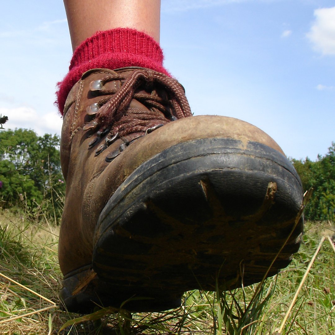 ExploreSurreyUK's tweet photo. Focus on walks in central Surrey to highlight #NationalWalkingMonth.
Choose from routes along the Tillingbourne river, many to choose in the #SurreyHills or the Mole Gap trail #railtoramble. Find walks to suit you https://t.co/KTQnVEHxHG
#getoutdoors #healthwellbeing https://t.co/O3DiebN7ck