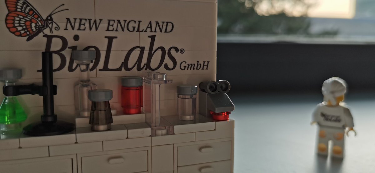 MarijaSingh's tweet photo. PhD student leaving the lab after a looong day.
#WorkWork #phdlife #PhD #phdvoice #lablife #PhaDness #flygirl #drosophila #flylife #LEGO @NEBiolabs https://t.co/YAAwelVOcc
