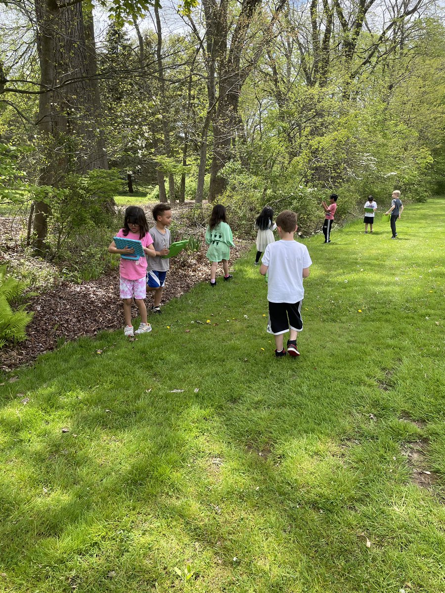 MrsHendricks's tweet photo. Going on a nature walk observing different characteristics of plants @MrsHansenFRSD @RobertHunterES #nature https://t.co/yAdNQeZ4iD