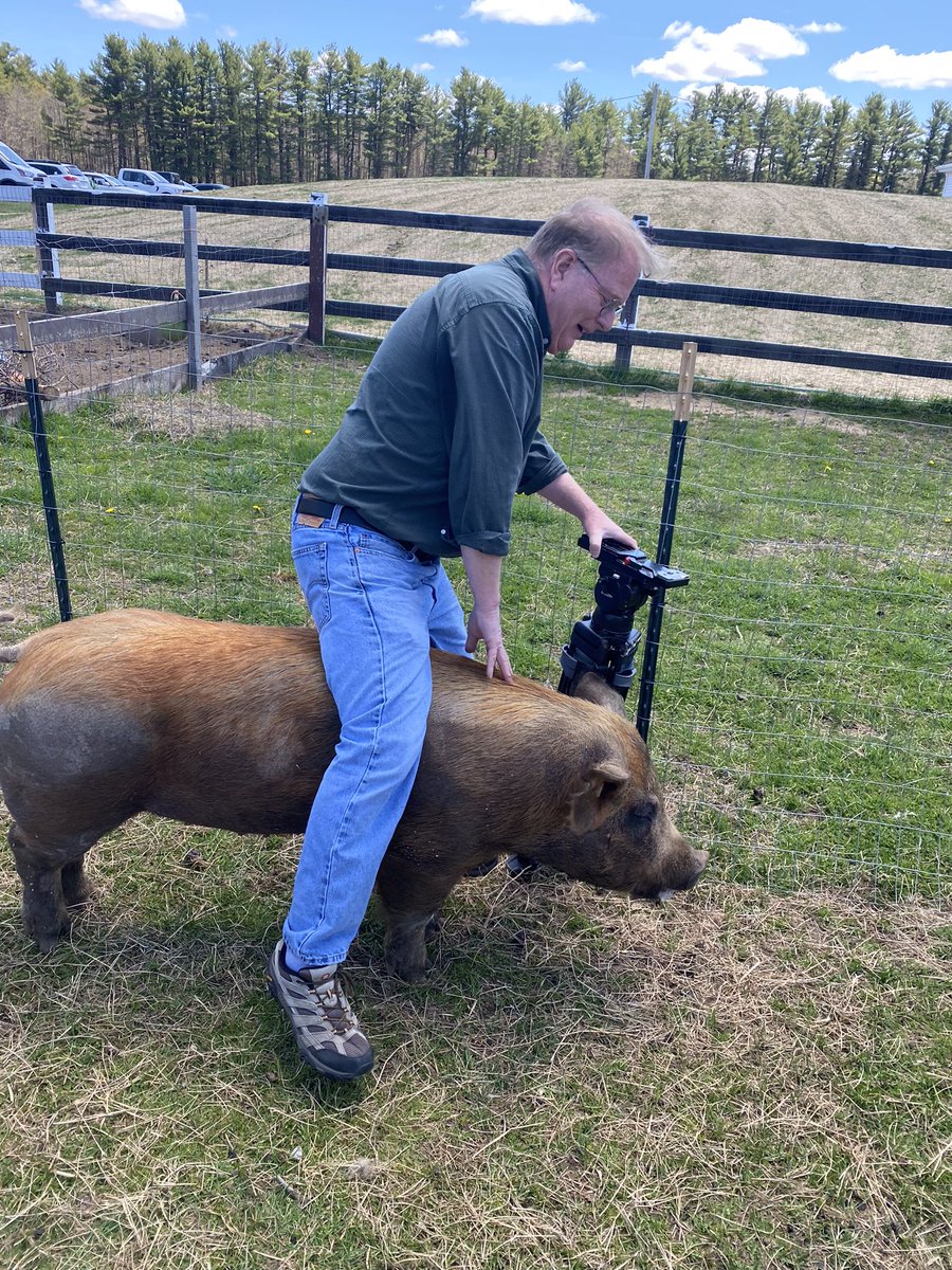 Jim Morelli tweet media