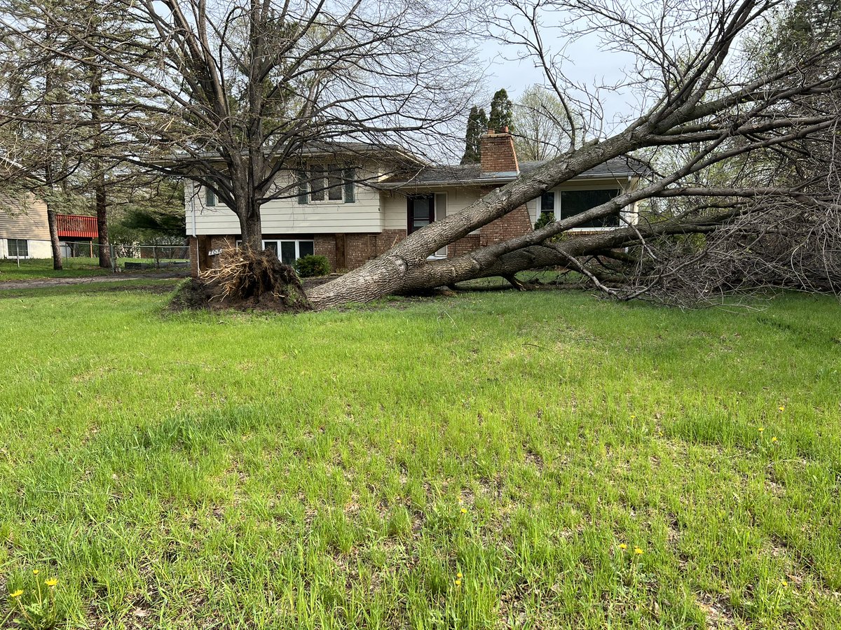 Janmandy's tweet image. More tress down in Eastern Brooklyn Park.