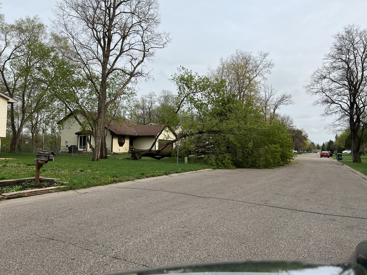 Janmandy's tweet image. More tress down in Eastern Brooklyn Park.