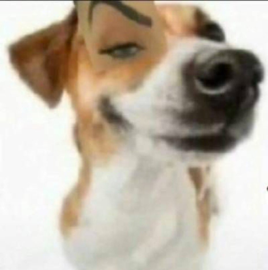 DIGGY.⠀﹔FINALLY GOT HIGH !!