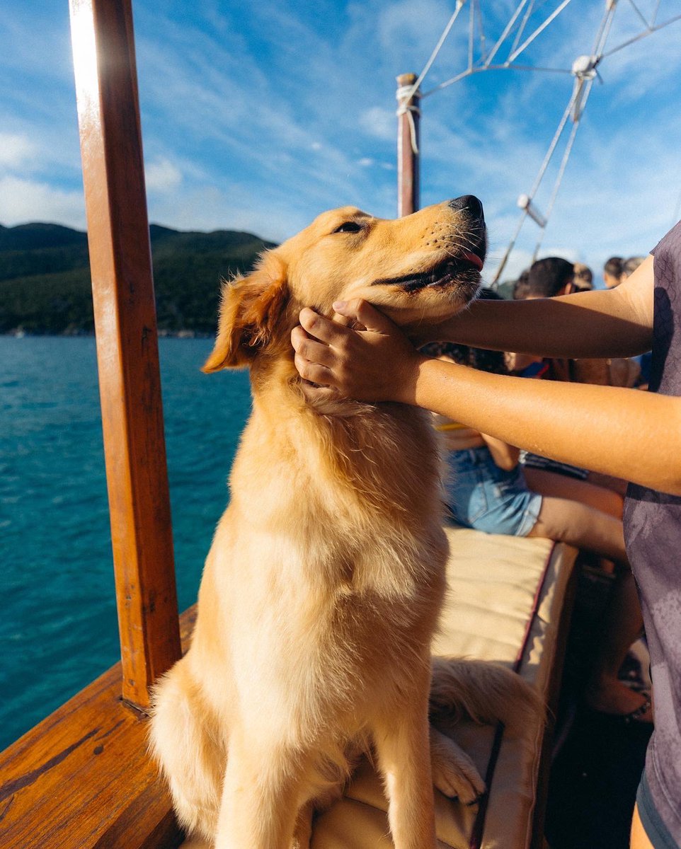 tessvisual's tweet image. Foto perfeita n exist…