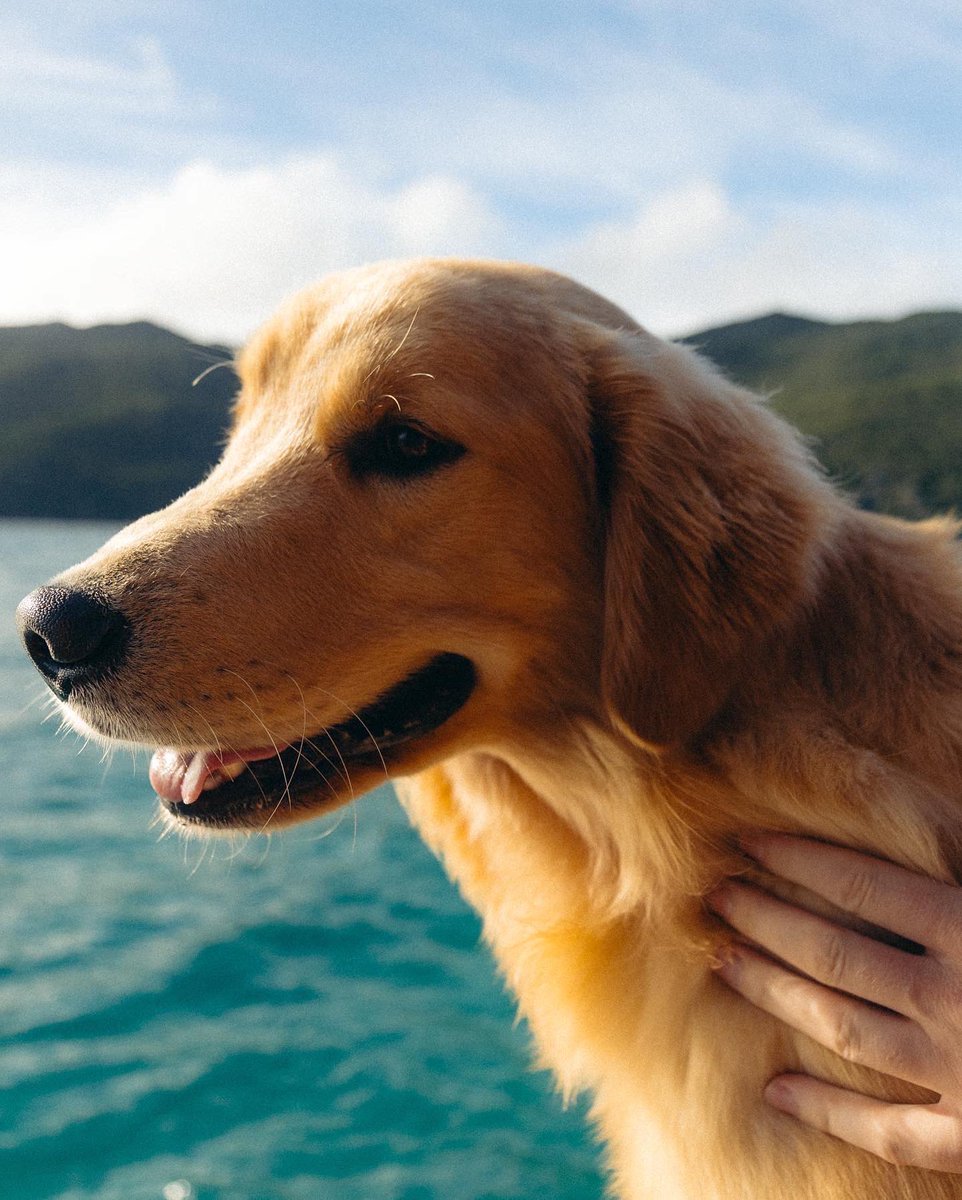 tessvisual's tweet image. Foto perfeita n exist…