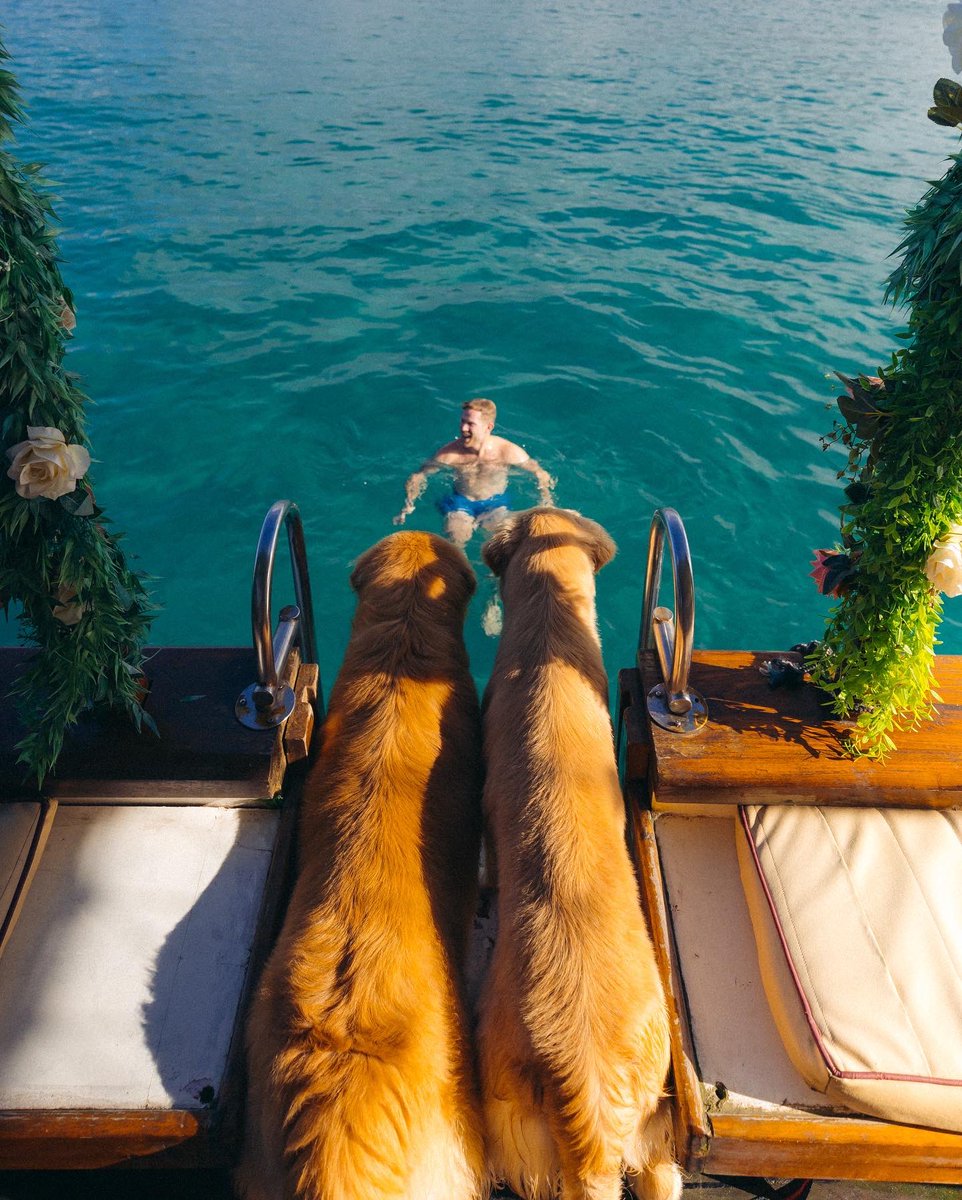 tessvisual's tweet image. Foto perfeita n exist…