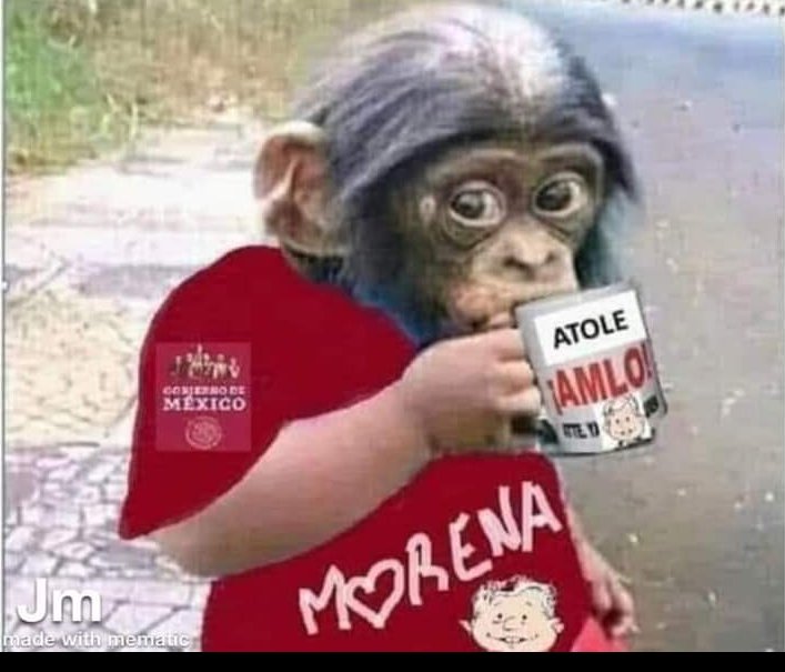 fibonacci_Mx's tweet photo. @GlodeJo07 Órale mis chairos ,llegó su hora de brillar  como héroes nacionales en  Morena 🌟para aplicar la vacuna cubana a sus hijos https://t.co/qlAvs2QA1R