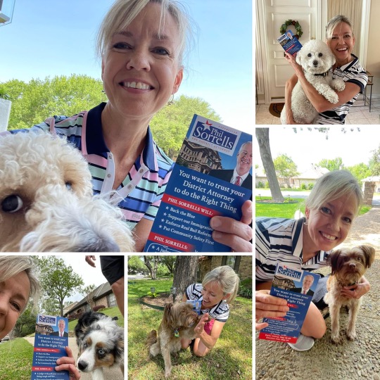 PhilSorrellsTX's tweet photo. Shout out to my sister-in-law Aubrea for securing the canine vote as she's block walking. Aubrea reports that dogs care about experience and qualifications as they sniff out who to vote for.
#experiencematters #SorrellsforDA #dfwdogs https://t.co/SWsKOi9Cnx