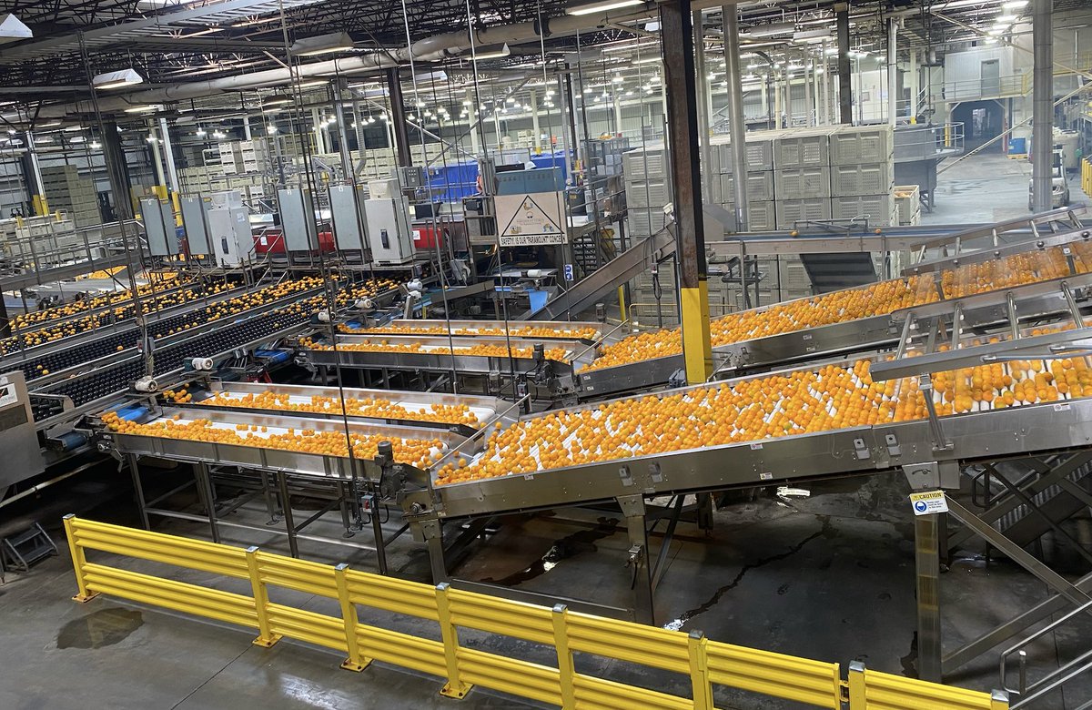 IntFreshProduce's tweet photo. Day 4 of the #FreshFieldCatalyst we are seeing @Wonderful Citrus learning about #technology #innovation #sustainability and #processing! https://t.co/iO9fook5jq