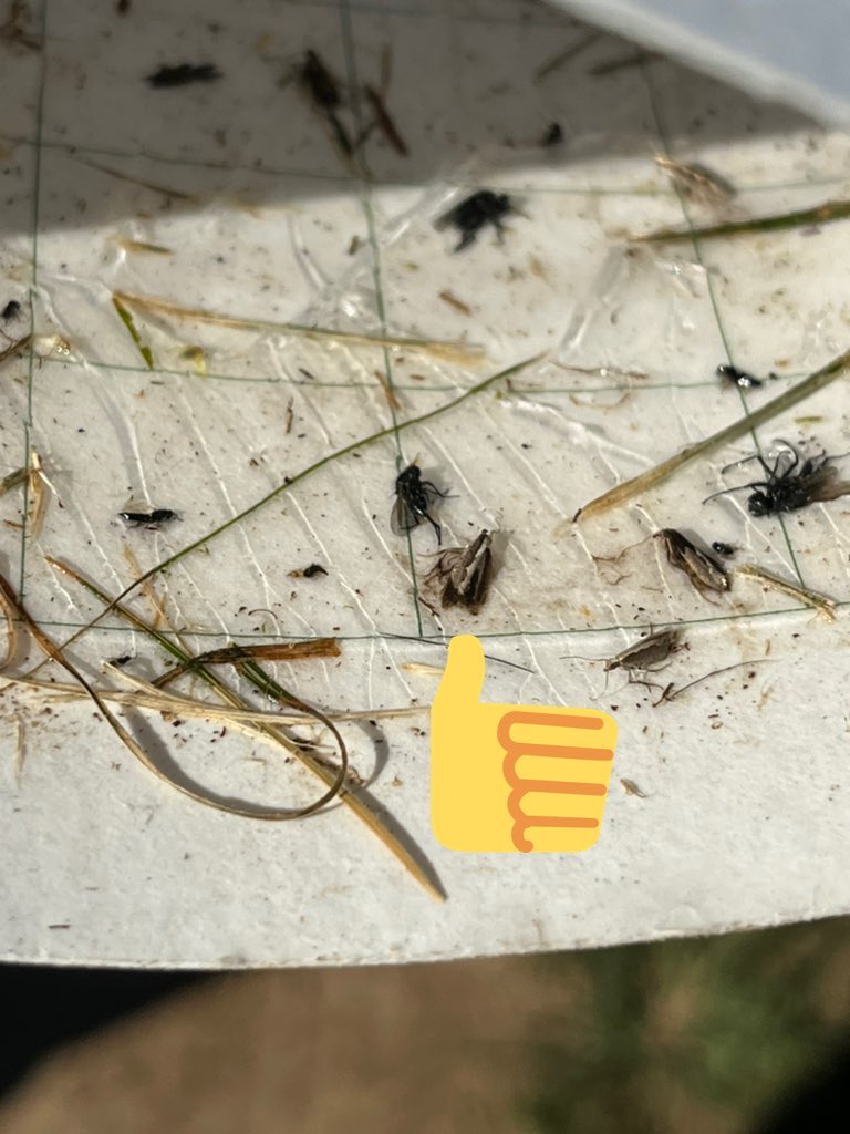 Tom Kuhar tweet media