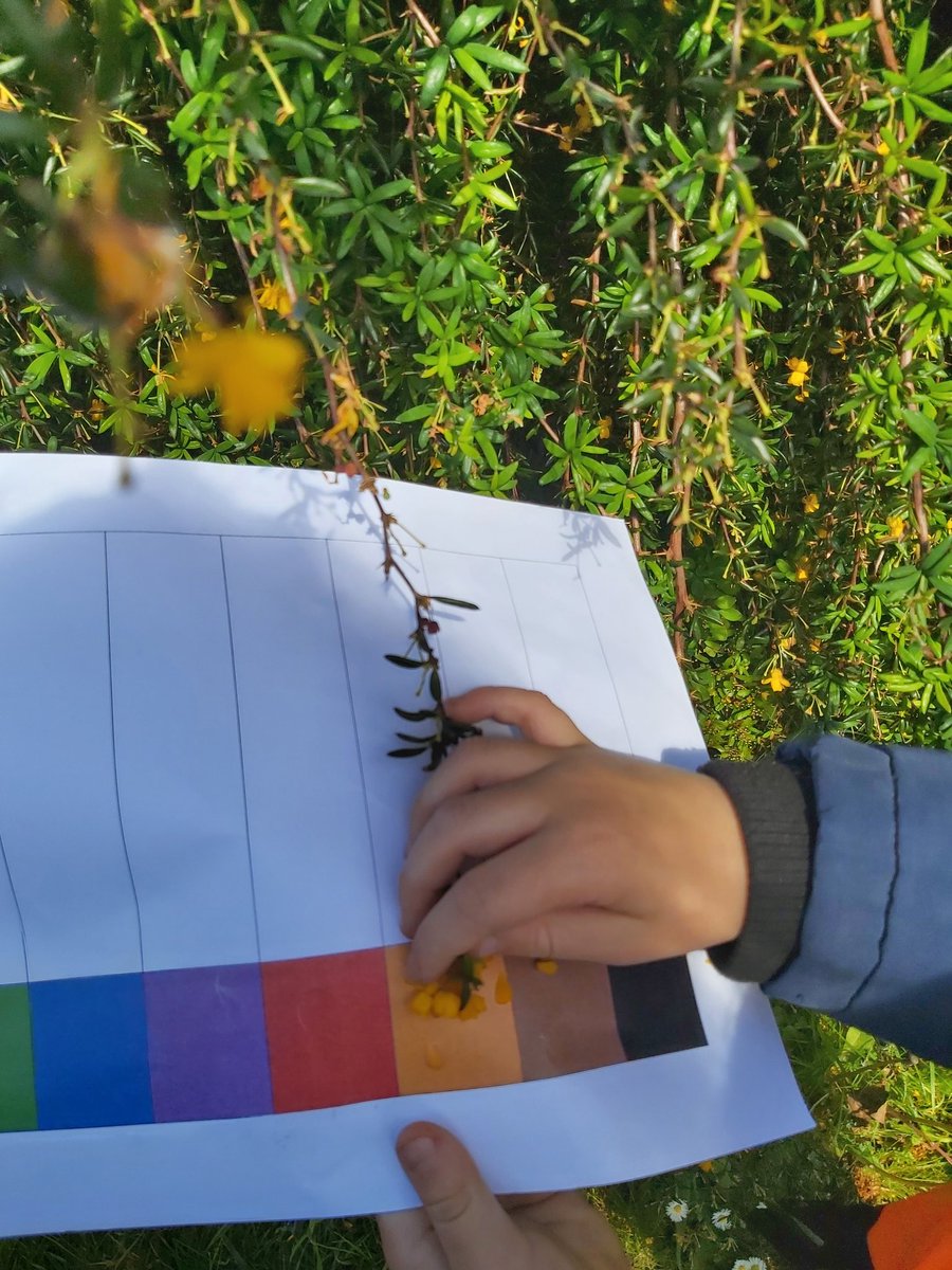 A trip to the local park with the <a href="/ChilternYR/">ChilternYR</a> Butterflies, where we spent an afternoon exploring the changes spring brought to the world around us. Using our colour charts, we looked at how many colours there are in nature 🦋
Mrs B 🙂  <a href="/ChilternOutdoor/">Outdoor Learning</a> <a href="/MrsB_013/">MrsB</a>