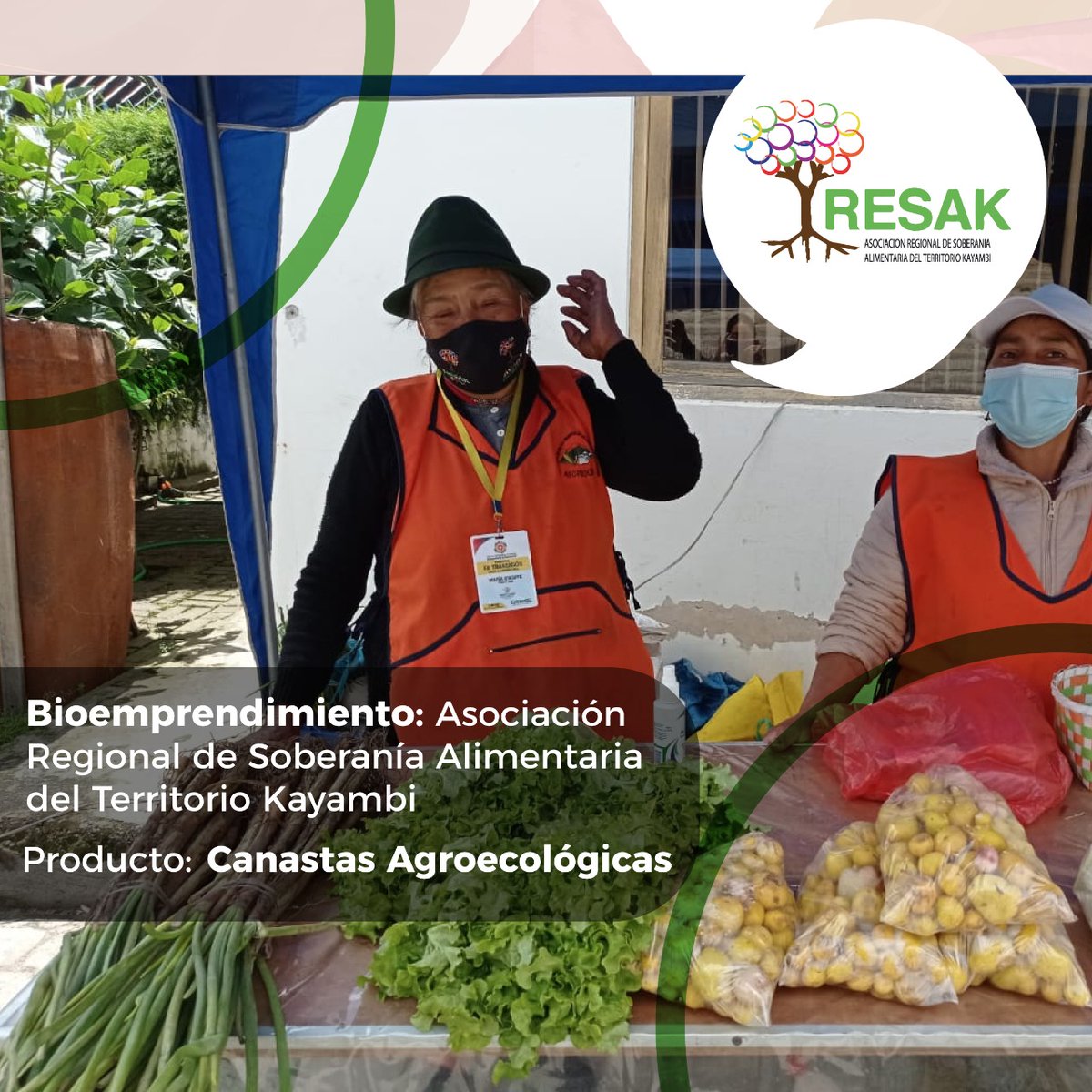 ciespal's tweet photo. En el marco del trabajo que realiza @PPDEcuador - @greencrowds y en el que apoya #CIESPAL y @CODESPA, los invitamos a conocer más sobre las canastas agroecologicas de la Asociación @Resakproductor
📌 HOY 12 Mayo⌚18h00 @EcuadorTV #MiPropioJefe

Contacto📲 099 785 8934 https://t.co/7qbXYbnjRH