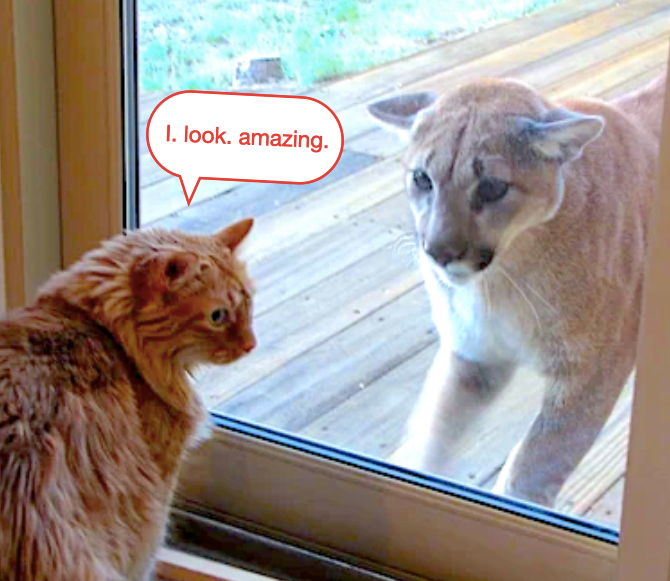 gofargosocial's tweet photo. Looking for a #socialmediamanager?  Hire someone like @gofargosocial who keeps your industry top-of-mind, creates custom graphics, and brings the funny. A favorite post we created for our #locksmith clients: "When you think your door is a mirror." https://t.co/glBQMg5UEu