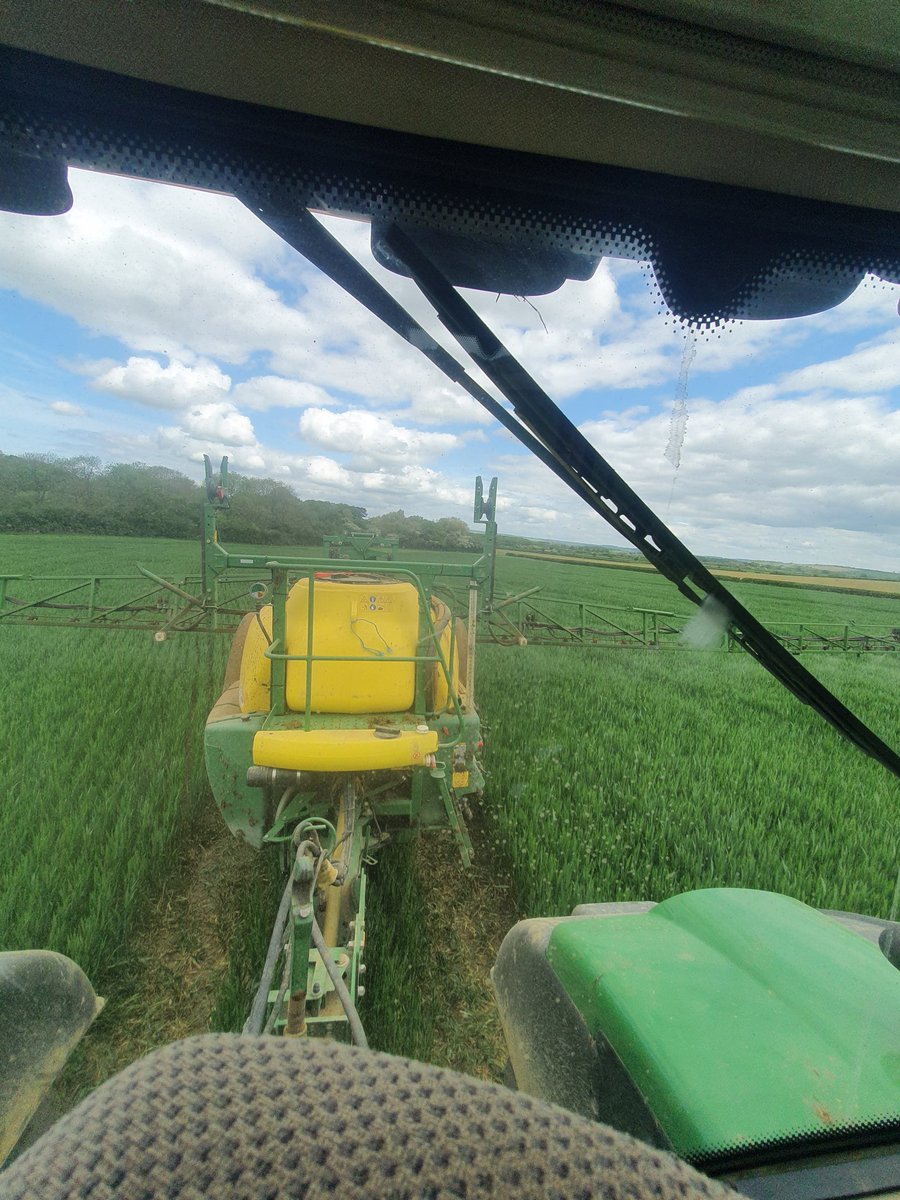 MHFarmShop's tweet photo. Grazed in December now receiving 1 of 2 applications of folia N with a cocktail of trace and natural elements to help the leaf. 10 kg of N per application giving this crop a grand total of 120kg/ha. @EdCTBrown @ssmsoilhealth @farming_britain https://t.co/Yyvp3lRjhI