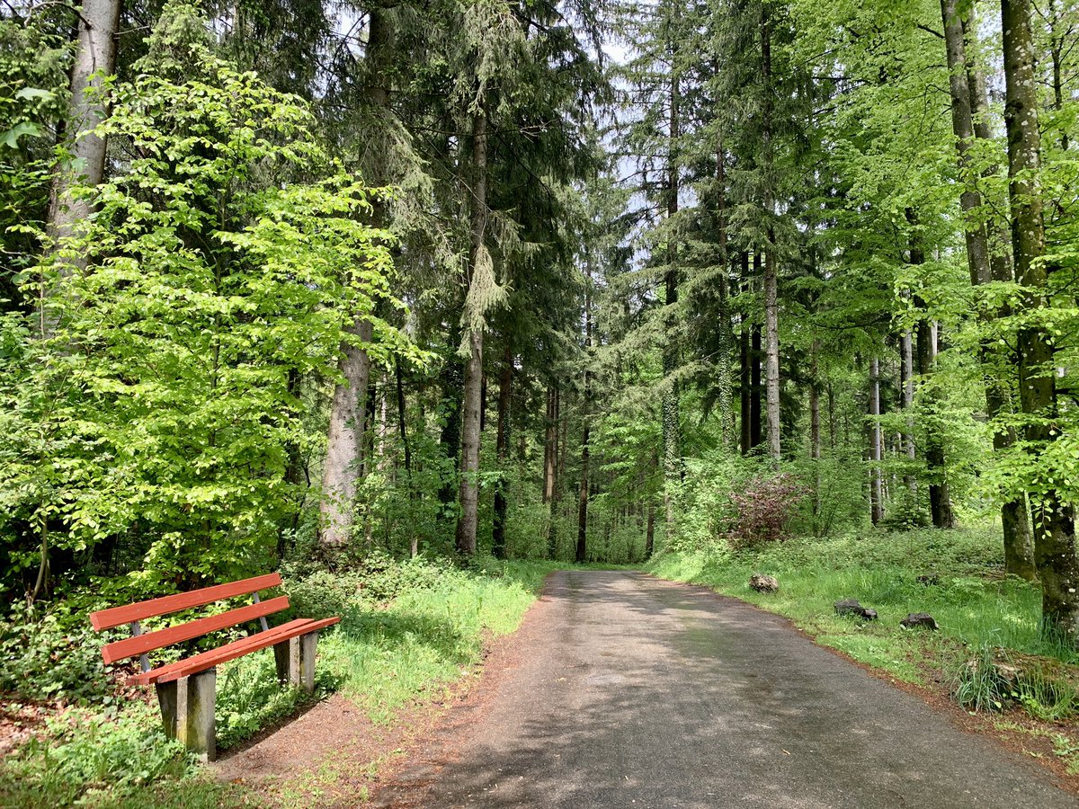 PortmannCarrick's tweet photo. @MyFaveBench … this is another favourite #Horgenberg https://t.co/qir7HosoxN