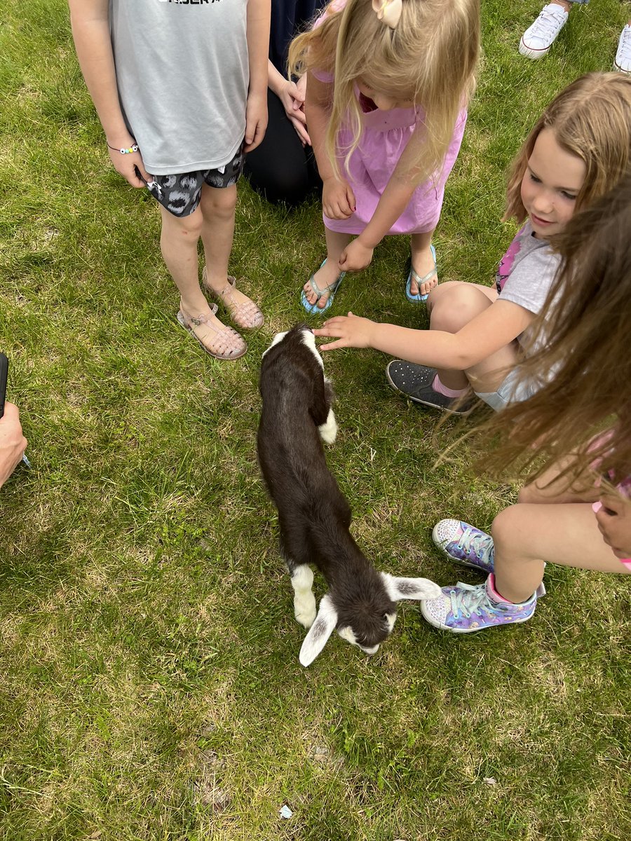 Had a great turnout for Food For America today!