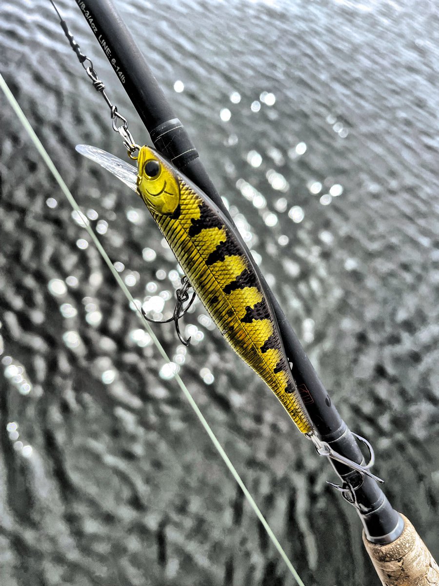 FishHardDave's tweet photo. 🎼Isn’t she pretty???? A Sharpie sure comes in handy when modifying or changing the appearance of your @luckycraftusa! #LuckyCraft #Stringease #DaiwaCanada #Sunline https://t.co/6ncesLWYmM